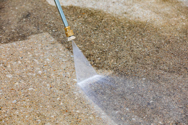Trusted Marienville, PA Pressure Washing Services Experts